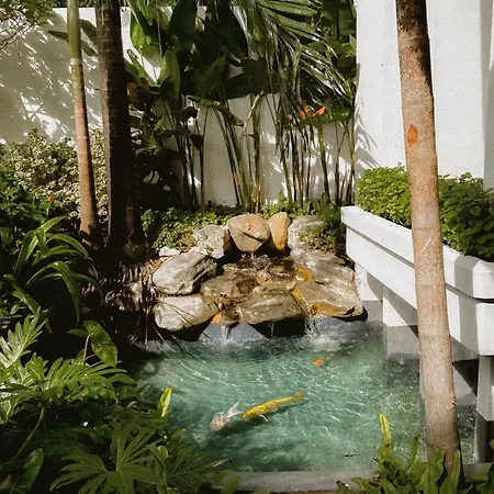 Townhouse Pk Garden